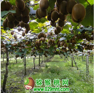 PG国际官方网站图片