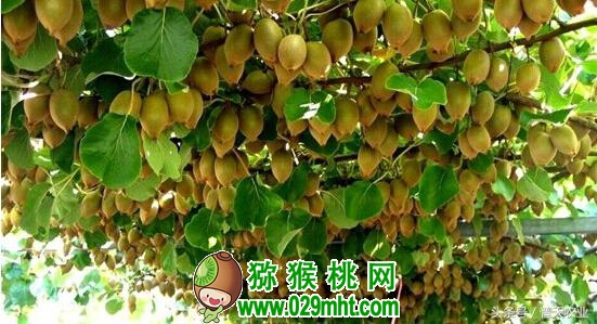 PG国际官方网站图片