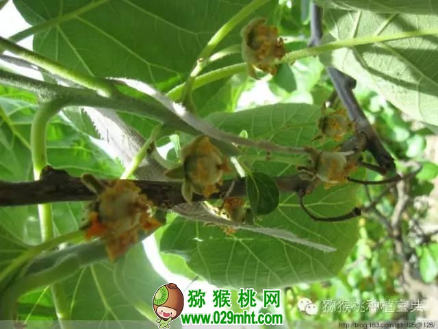 PG国际官方网站图片