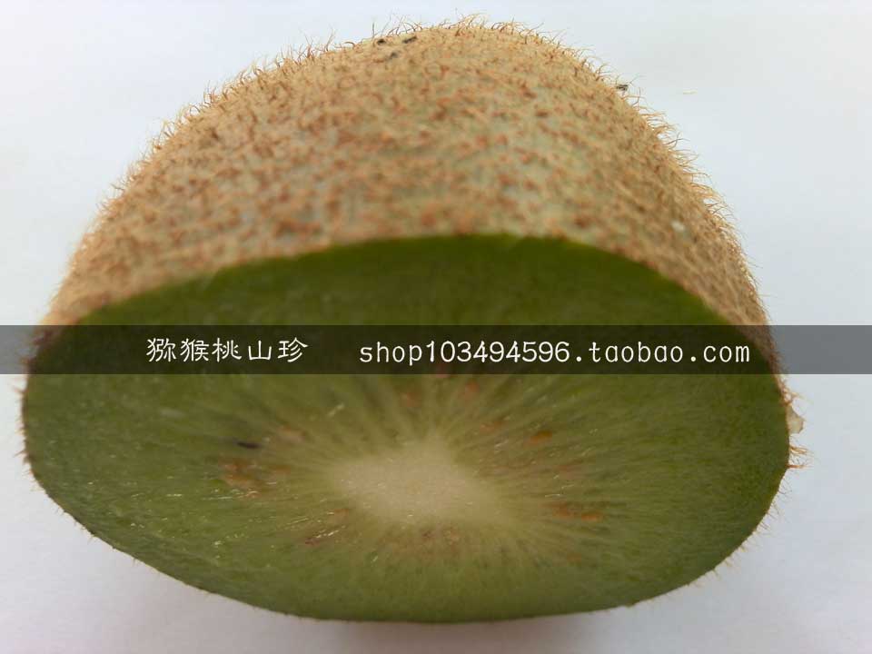<a href=http://www.summer2018.cn target=_blank class=infotextkey />奇异果</a>图片