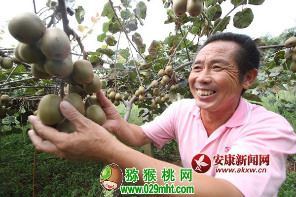 QQ图片20170927113852.jpg