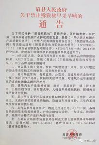 PG国际官方网站图片