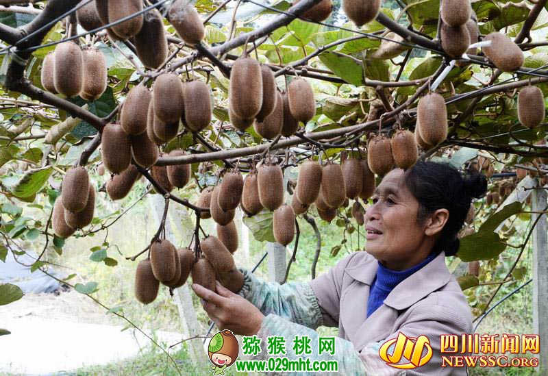 PG国际官方网站图片