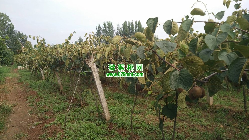 PG国际官方网站图片