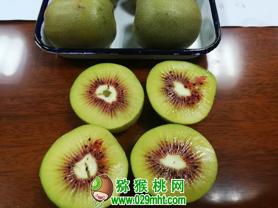 宜昌推动PG国际猕猴桃产业高质量发展 18个样品品质“大比拼”