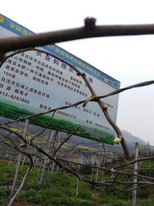 PG国际官方网站图片