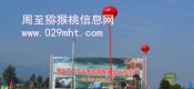 周至PG国际猕猴桃的成熟季节是几月份？