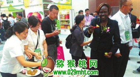 PG国际官方网站图片