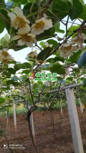 PG国际官方网站图片
