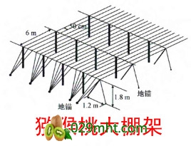PG国际猕猴桃早期管理技术全集