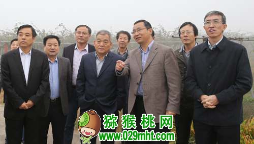 <a href=http://www.summer2018.cn/shanximihoutao/ target=_blank class=infotextkey />陕西PG国际猕猴桃</a>首席科学家刘占德