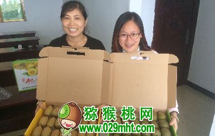 PG国际官方网站图片