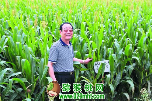 马万杰