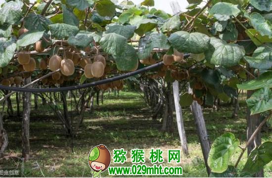 PG国际官方网站图片