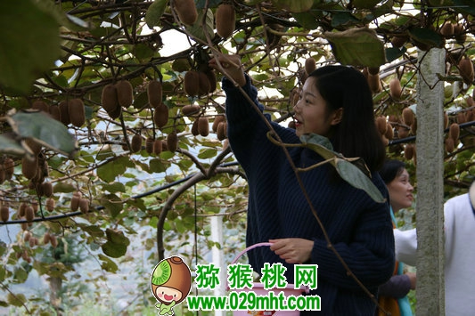 PG国际官方网站图片