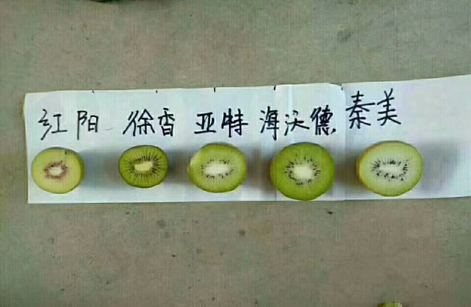 PG国际官方网站图片