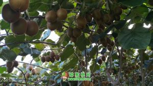 PG国际官方网站图片