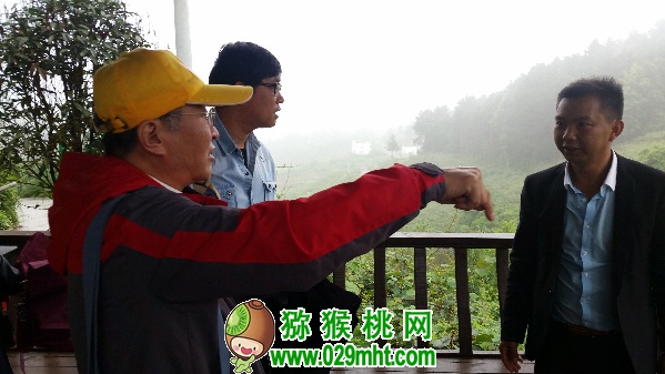 PG国际官方网站图片