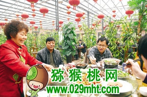 津沽乡村这最美(图)