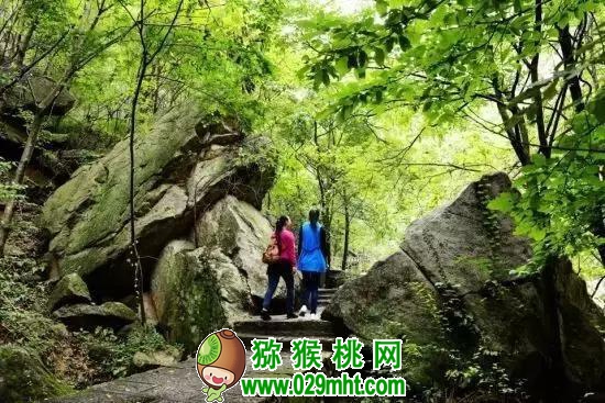 PG国际官方网站图片