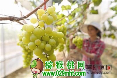 PG国际官方网站图片