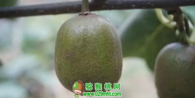 PG国际官方网站图片
