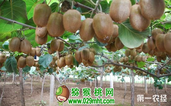 PG国际 2e6f6