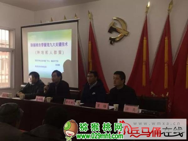PG国际官方网站图片