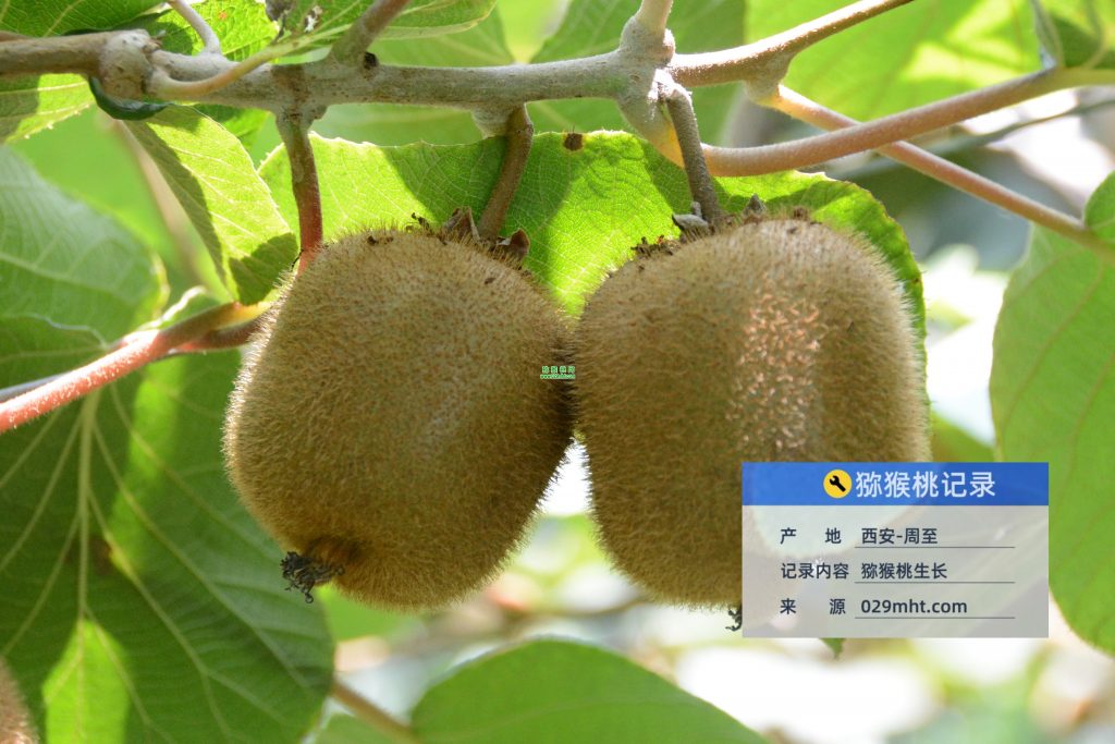 PG国际官方网站图片