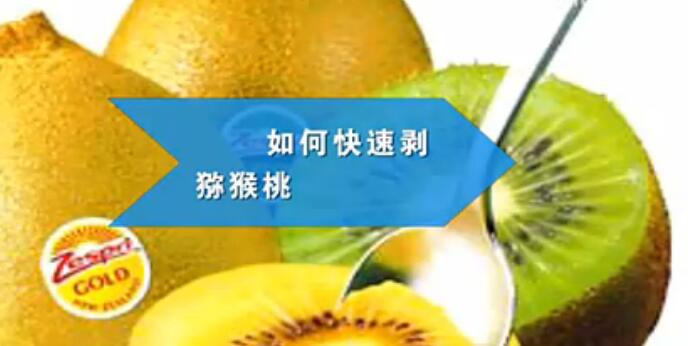 PG国际官方网站图片