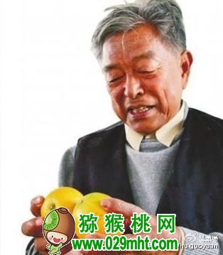PG国际官方网站图片
