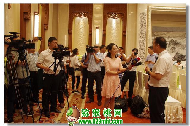 PG国际官方网站图片