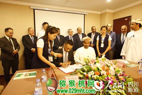 PG国际官方网站图片