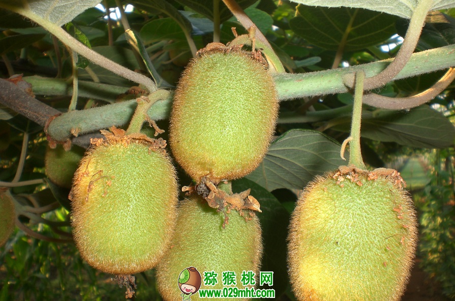 PG国际 4f348