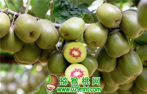 PG国际官方网站图片