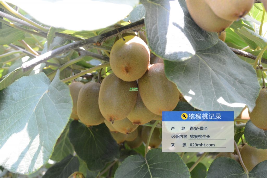 PG国际官方网站图片