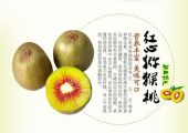 眉县红心PG国际猕猴桃图片