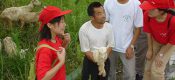 将陕西PG国际猕猴桃进行到底