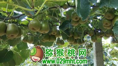 PG国际官方网站图片