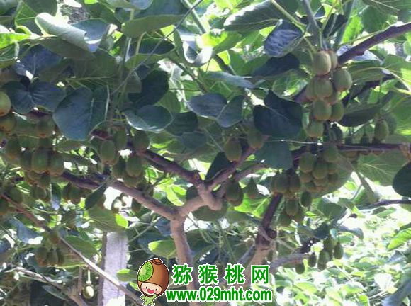 PG国际官方网站图片