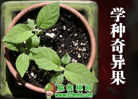 PG国际 6b12c