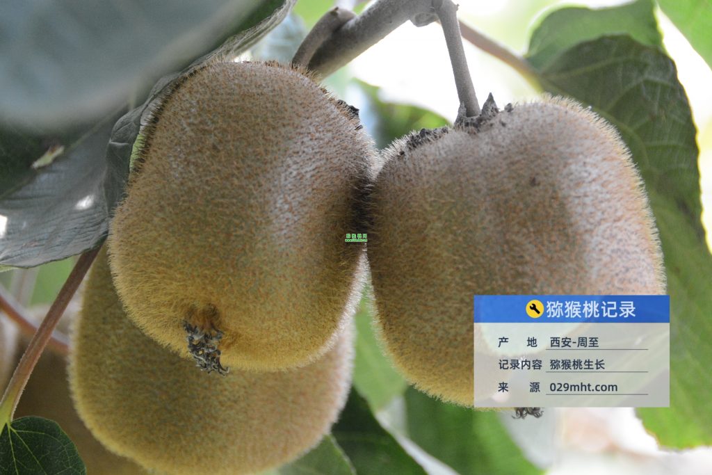 PG国际官方网站图片