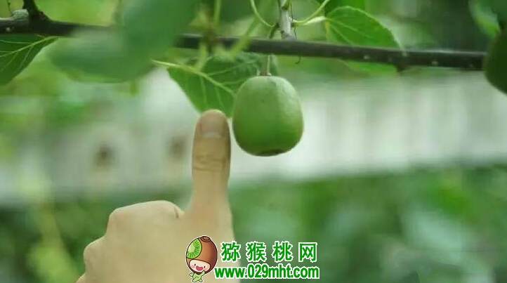 PG国际官方网站图片