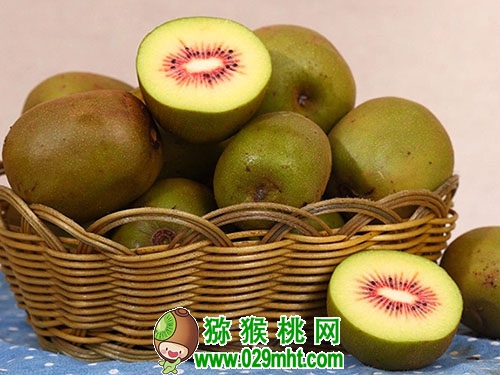 PG国际官方网站图片