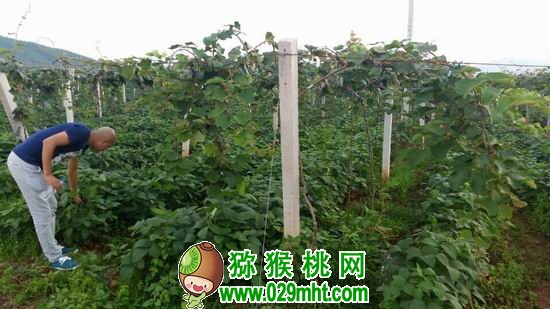PG国际官方网站图片