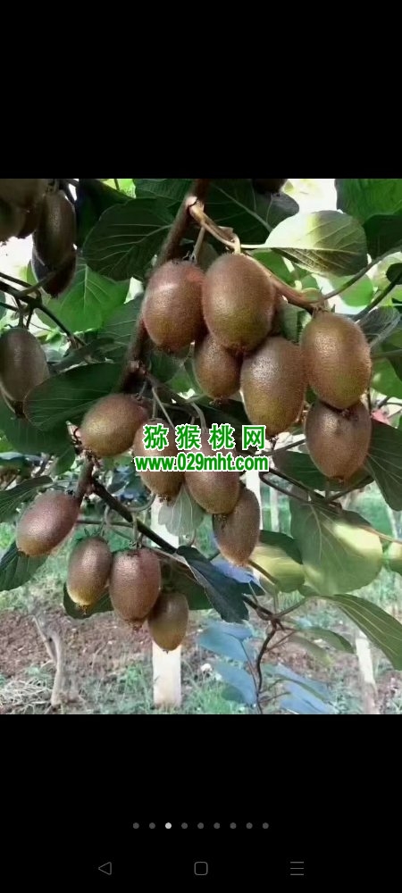 PG国际 28fa0