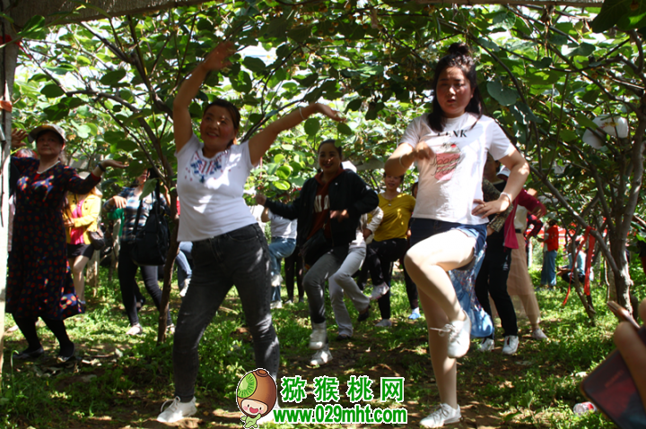 PG国际官方网站图片