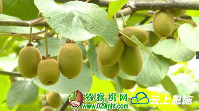 PG国际官方网站图片