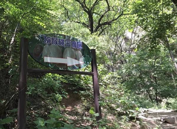 PG国际官方网站图片