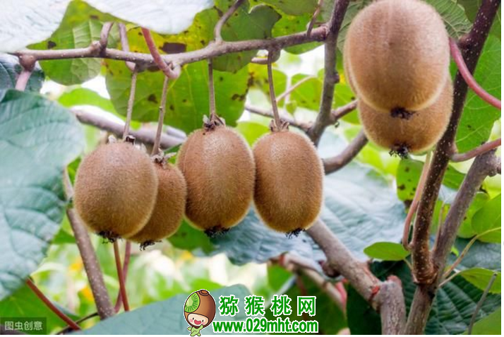 PG国际官方网站图片